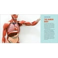 thumbnail image 3 of Junior Scientists: Human Anatomy for Kids : A Junior Scientist's Guide to How We Move, Breathe, and Grow (Paperback), 3 of 8