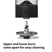 OXO Brew Compact Conical Burr Coffee Grinder, Stainless Steel Burrs, Matte Black