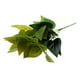 thumbnail image 3 of 2pcs 35cm Artificial Modelo Hierba de Follaje Paisaje Plantas Flor 7 Hojas Horquilla Decoración Jardín Macarena Planta artificial, 3 of 8