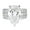 Silver, variant on Guodhu Silver Shiny Gem Ring Pear Shaped Cubic Zirconia Rings CZ Diamond Rings for Women Eternity Engagement Wedding Band Ring for Women
