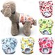 thumbnail image 2 of Pañales fisiológicos para perros y gatos, ropa interior lavable para cachorros y mujeres, 2 of 4