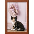 thumbnail image 2 of Tortoiseshell Cat Kitten with Ballet Shoes, Animals Figurative Framed Art Print Wall Art Sold by Art.Com, 2 of 5