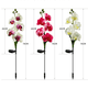 thumbnail image 2 of Paquete de 2 luces de orquídeas con energía solar, para decoración de caminos de césped, patio, villa, 2 of 5
