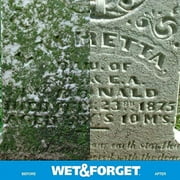 Wet & Forget Outdoor Moss, Mold, Mildew, Algae Stain Remover Multi-Surface Cleaner, Ready to Use, 64 Fluid Ounces, 4 Pack