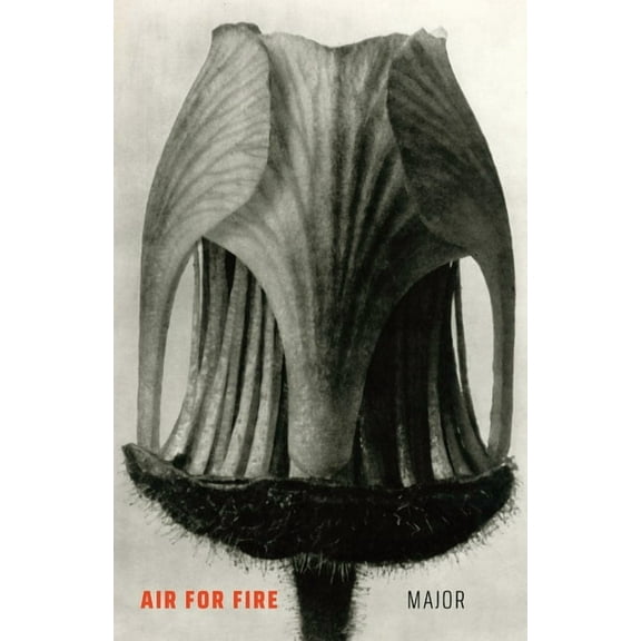 Air for Fire, (Paperback)