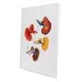 thumbnail image 2 of Wayfare Art Canvas Prints Poster, Animal 8 x 10 inch Wall Decor Canvas Artwork, Fancy Guppies Fish, 2 of 7