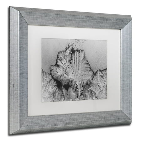- Trademark Fine Art 'Window Frost Pattern 3' Canvas Art by Kurt Shaffer White Matte, Silver Frame