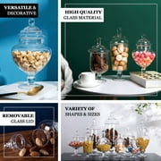 Efavormart Set of 3 Glass Apothecary Candy Jars With Lids - 10/12/14