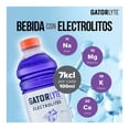 thumbnail image 3 of Bebida hidratante Gatorlyte sabor uva 591 ml, 3 of 4
