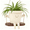 Off-White, variant on Swing Planter Pot Hanging Face Planter with Drainage Hole, Resin Smile Face Flower Pots for Indoor Outdoor String of Pearls, 5.3 Inch