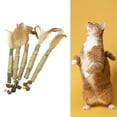 thumbnail image 3 of Set of 5 Cat Catnip Toys Cat Nip Sticks Cleaning Suitable for Feather, 3 of 7