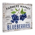 thumbnail image 3 of Stupell Industries Farmhouse Farmers Market Blueberries Canvas Art, 40 x 30, by Creatif Belle, 3 of 8