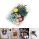 thumbnail image 5 of Adornos surtidos de flores secas reales para decorar tu funda de teléfono con velas. Estilo 6, 5 of 9