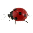 thumbnail image 4 of 5 Pcs Modèle d'Insecte Artificiel Simulation Jouets Éducatifs pour Enfants Coccinelle, 4 of 9