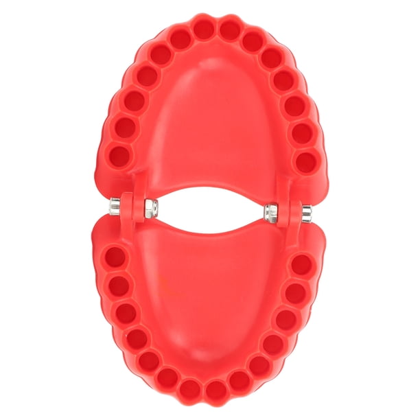 Organizador de brocas con forma de modelo de dentadura postiza, soporte de brocas para dentadura postiza, organizador de brocas, soporte de broca para dentadura postiza, tecnología innovadora