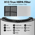thumbnail image 4 of Filtro de carbono HEPA 360 de Combi Glass para Dyson TP07 TP7B TP09, 4 of 7