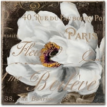 Trademark Fine Art "Fleurs Blanc III" Canvas Art by Color Bakery