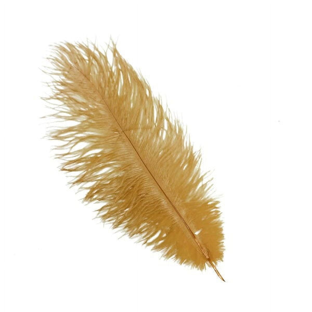 KOLIGHT®30pcs Ostrich Feather Gold 12-14 Natural Feathers Wedding,  Party,Home,Hairs Decoration