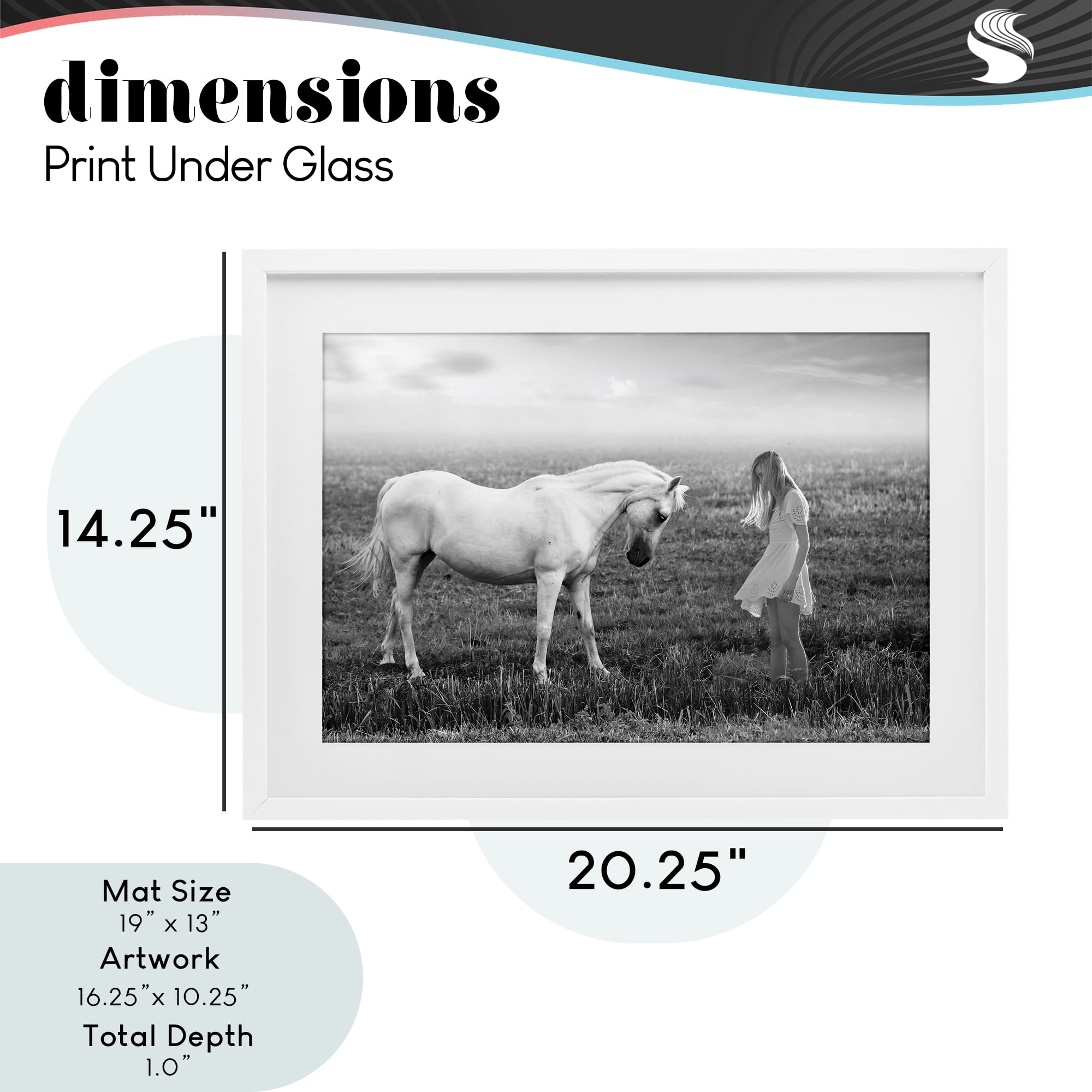 Her White Horse White Framed Print Under Glass, design by Ata Alishahi