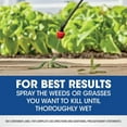 thumbnail image 4 of Roundup Weed & Grass Killer Concentrate, Best Around Flower Beds, Walkways or Fences, 35.2oz, 4 of 5