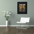 thumbnail image 3 of Trademark Fine Art "Incredible Shades of Autumn" Canvas Art by Kurt Shaffer, Black Matte, Black Frame, 3 of 4