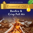 thumbnail image 4 of Air Wick Plug-In Scented Oil Air Freshener Warmer Refills, Bonfire and Crisp Fall Air, 5 Count, 4 of 12