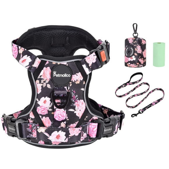 Set de arneses para perros Petmolico, chaleco reflectante grande con correa