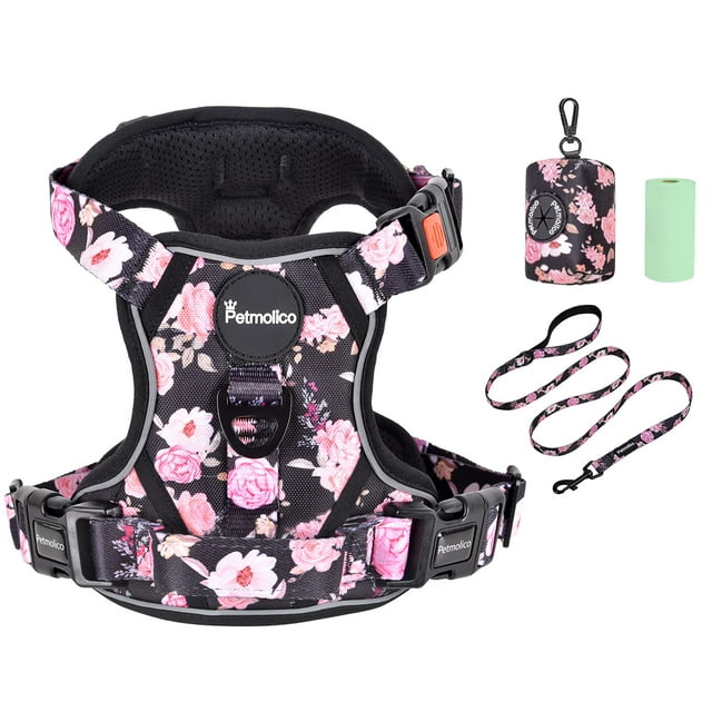 Set de arneses para perros Petmolico, chaleco reflectante grande con correa