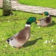 thumbnail image 5 of FaLX Duck Decor Realistic Life-like Ornamental Double-sided Printing Rustic Acrylic Garden Poultry Statue for Yard, 5 of 8