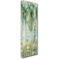 thumbnail image 2 of Trademark Fine Art "The Forest IV" Canvas Art by Lisa Audit, 2 of 3