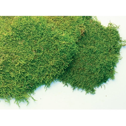 Super Moss 21585 32 Oz Fresh Sheet Moss