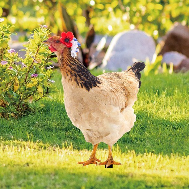 Ganfancp Acrílico Escena Al Aire Libre Yard Art Pollo Simulado Decoración Patio Decoración Jardín de Doble Cara de Inserción En El Suelo Junta Ofertas Del Día Liquidación 1* Toma de Tierra
