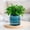 Blue, variant on Self Watering Pot for Indoor Plants,Transparent Hydroponic Small Plant Pots,4.5"and 4"Diameter Flower Pots for Indoors and Outdoors