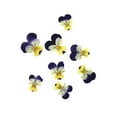 thumbnail image 2 of Injueey 12 Pieces Dried Flower Crafts Simple Accessories Craft DIY Make Adornment Pressed Exquisite Handicrafts Flowers Makeup Type4 NO4, 2 of 6