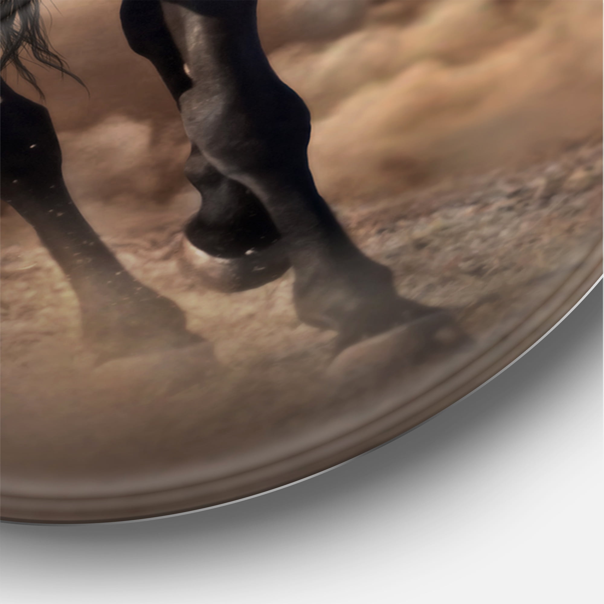Designart 'Close Up Of Thoroughbred Nonius Stallion Horse I' Farmhouse Circle Metal Wall Art 23x23 - Disc of 23