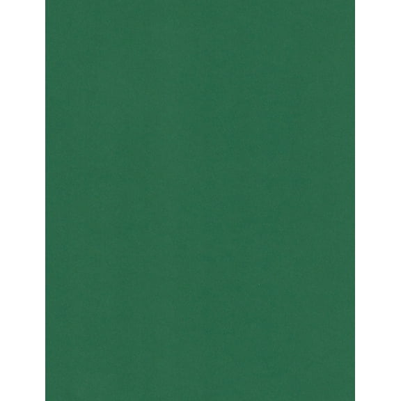 Cardstock Warehouse Lessebo Evergreen - 8.5 x 11 inch 100 lb. Cardstock Paper - 25 Sheets