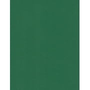 Cardstock Warehouse Lessebo Evergreen - 8.5 x 11 inch 83 lb. Cardstock Paper - 50 Sheets