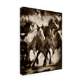 thumbnail image 2 of Trademark Fine Art 'The March' Canvas Art by David Drost, 2 of 4