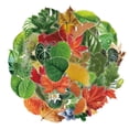 thumbnail image 1 of Calcomanías estéticas de PET Sticker Collection Nature Leaf, 50 unidades, 1 of 2