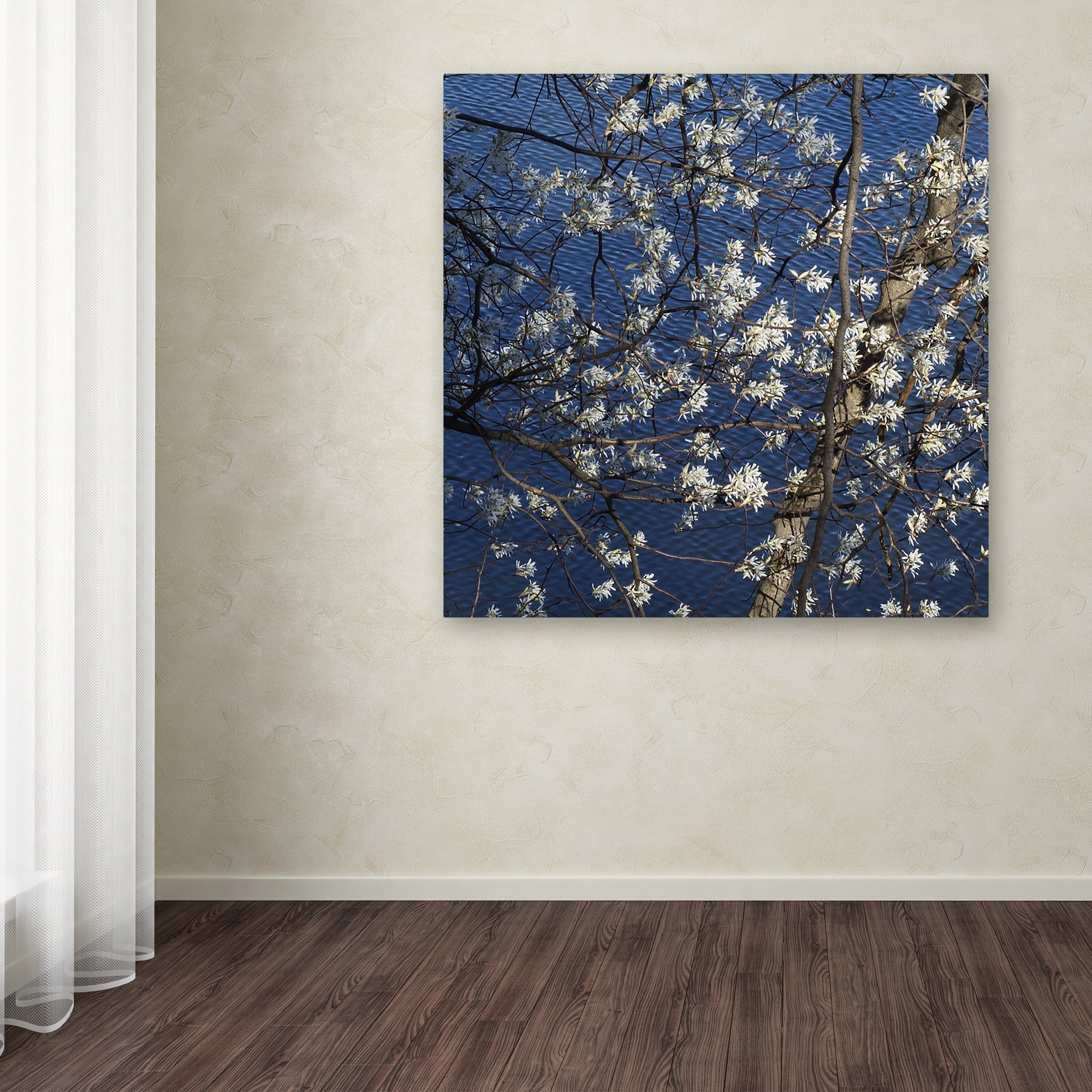 Trademark Fine Art "Springtime at the Lake" Canvas Art by Kurt Shaffer