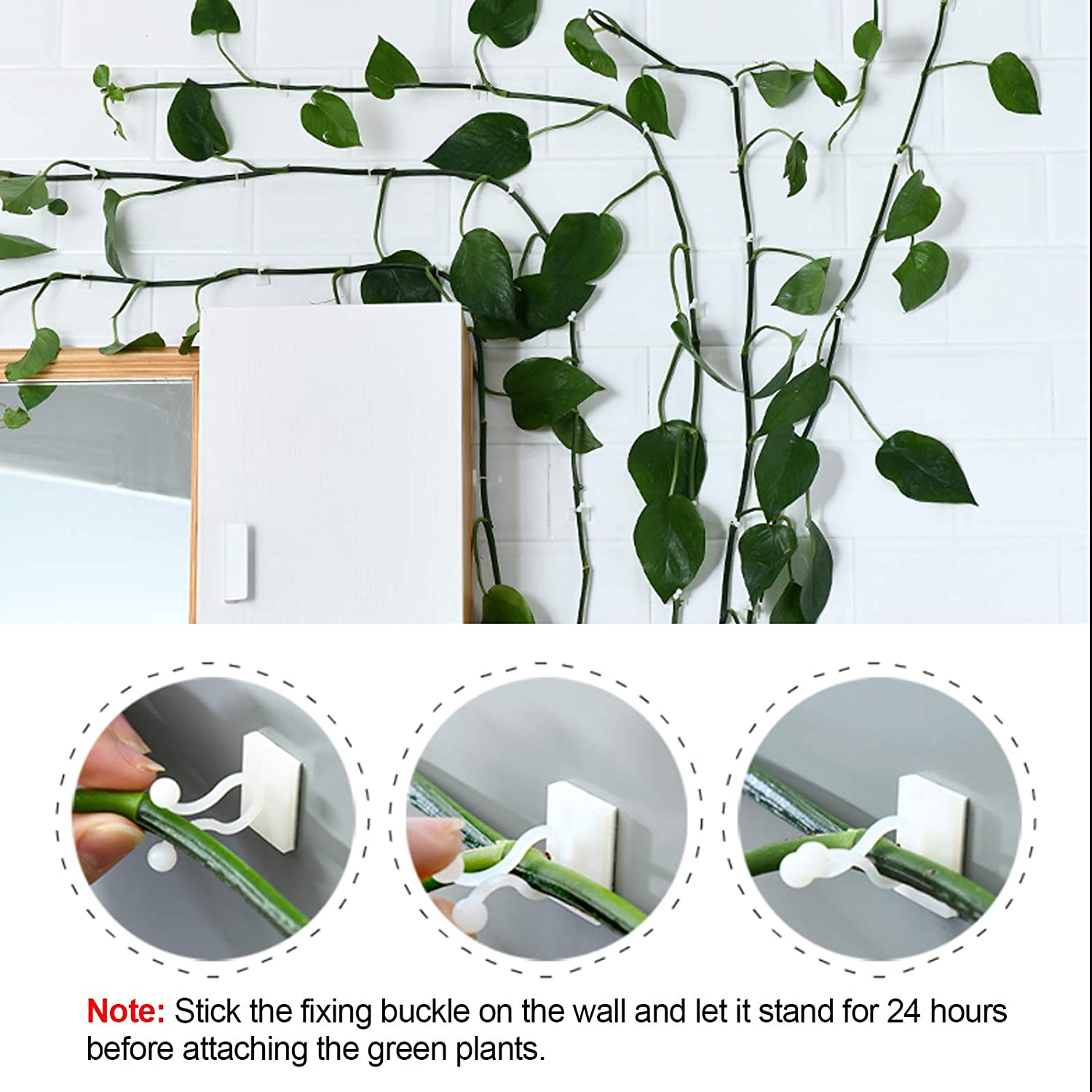 Clips Pour Plantes Grimpantes Lot De 10 - Fixation Autocollante Invisible Verte