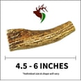 thumbnail image 6 of Elkhorn Premium Chews Small whole (4-6” long) elk antler chew for 0-20 lb dogs (1 pack) all-natural premium-grade antler bone, sourced in the USA, 6 of 6