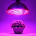 thumbnail image 2 of ZECATL Plant Growth Light 80W LED Lamp Bulb Flowering Cultivation Horticultural Growth Lamp white, 2 of 4