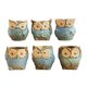 thumbnail image 2 of Paquete de 6 contenedores de plantas de maceta de cactus suculentos de Azul Zulema Contenedor de suculentas, 2 of 8