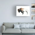 thumbnail image 3 of Avery Tillmon 'Colorful Bison Dark Brown' Canvas Art, 3 of 3