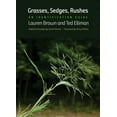 thumbnail image 2 of Herbes, Carex, Joncs: un Guide d'Identification, 2 of 2
