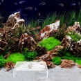 thumbnail image 4 of WEUVEB Para Acuario Transparente Con Natural Para Refugio De Peces Y Camarones, 4 of 8