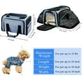 RUseeN Large Cat Dog Carrier Airline Approved 4 Side Expandable SoftSided Pet Carrier with