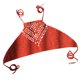 thumbnail image 1 of Sujetador de natación Soidarity para Mujeres Boho Rojo Óxido S, 1 of 6