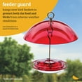 thumbnail image 6 of Birds Choice 10" Color Pop Collection Protective Dome Cover for Hanging Bird Feeders, Orange, 6 of 11